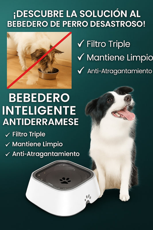 🐾Bebedero Antiderrame Para Perros Y Gatos ¡Tu mascota feliz y tu casa seca! 💦