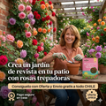 200 Semillas Rosas Trepadoras Jardín