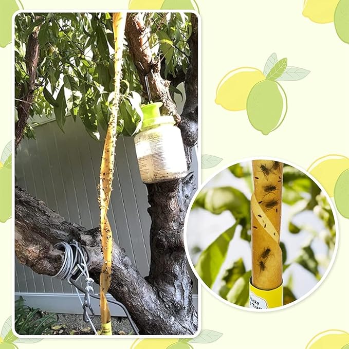 Cinta Atrapa Moscas - OFERTA LLEVA 4 CAJAS Y PAGA 3.