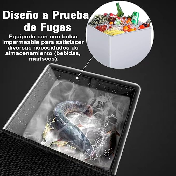 CAJA ALMACENAMIENTO MALETERO